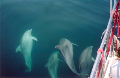 segeln oder mitsegeln in der t�rkei, hand gegen koje